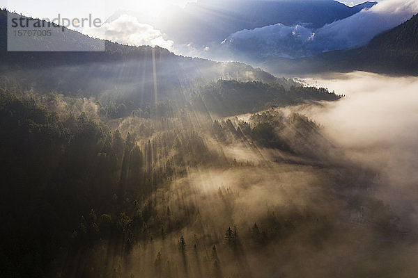 Deutschland  Bayern  Mittenwald  Die aufgehende Sonne beleuchtet den Nebel  der den Ferchensee und den umliegenden Wald bedeckt