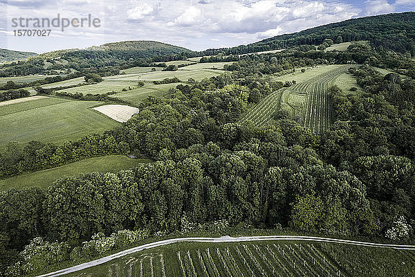 Österreich  Niederösterreich  Luftaufnahme von grün bewaldeten Hügeln und Weinbergen