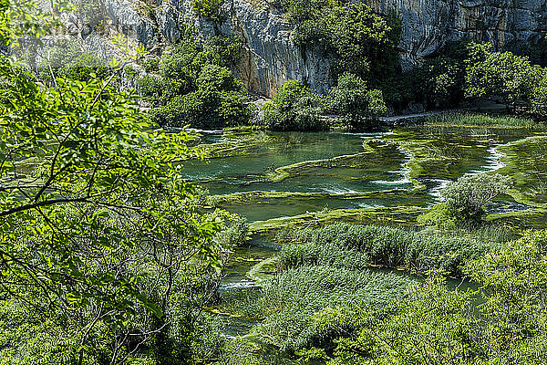 Kroatien  Grüner Teich im Roski-Slap-Nationalpark
