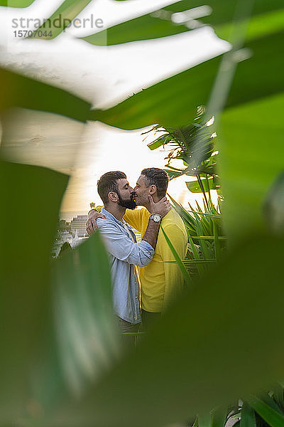 Zärtliches schwules Paar küsst sich hinter den Blättern