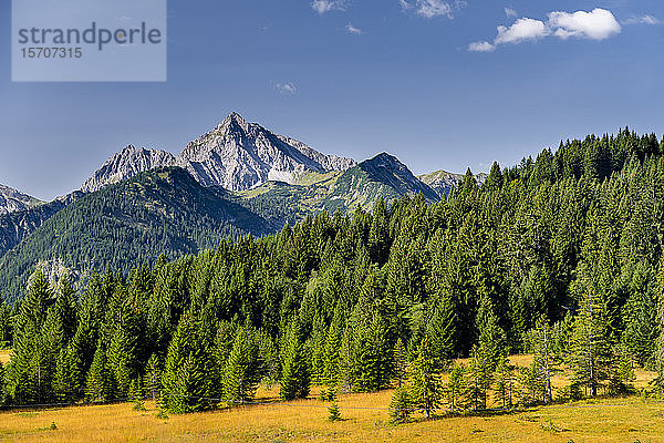 Österreich  Tirol  Panoramablick auf das Tannheimer Tal in den Allgäuer Alpen