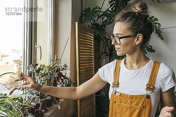 Junge Frau pflegt Pflanzen auf Fensterbank