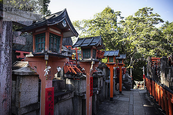 Japan  Präfektur Kyoto  Stadt Kyoto  Reihe alter Laternen im Fushimi Inari-taisha-Tempel