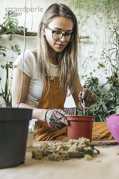 Junge Frau  die am Tisch in einem kleinen Gartenbaubetrieb arbeitet