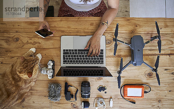 Am Tisch sitzende Person mit Fotoausrüstung und rothaariger Katze  mit Laptop  Draufsicht