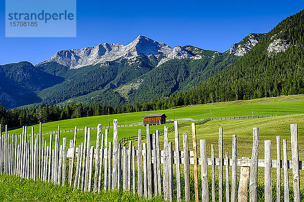 Österreich  Tirol  Steinberg am Rofan  Einfacher Zaun umgibt die ländliche Weide mit dem Berg Guffert im Hintergrund