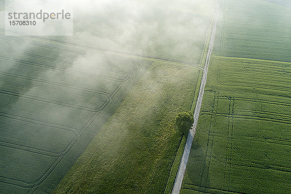 Deutschland  Bayern  Luftaufnahme des Morgennebels über der Landstraße und den grünen Wiesen im Frühling