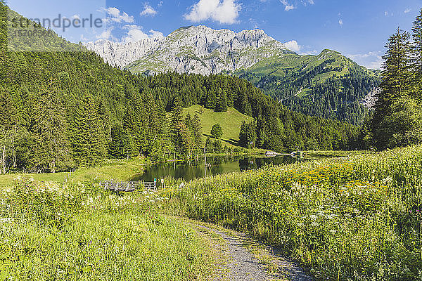 Österreich  Kärnten  Panoramablick auf den See im bewaldeten Tal der Karnischen Alpen im Sommer