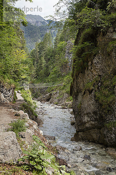 Österreich  Tirol  Erpfendorf  Bach  der unter der Hängebrücke in der Griesbachschlucht fließt