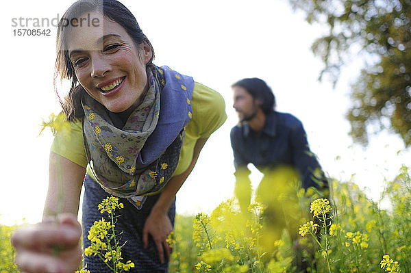 Frau pflückt gelbe Blumen auf der Wiese  im Hintergrund der Mann