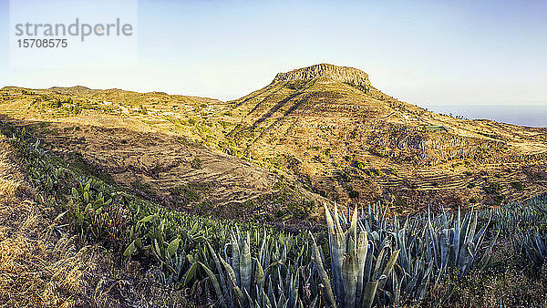 Spanien  Kanarische Inseln  La Gomera  Agavenanbau mit Tafelberg im Hintergrund