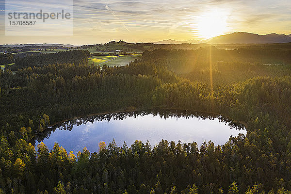 Deutschland  Bayern  Oberbayern  Pfaffenwinkel  Steingaden  Naturschutzgebiet Klapperfilz  Moorsee bei Sonnenaufgang