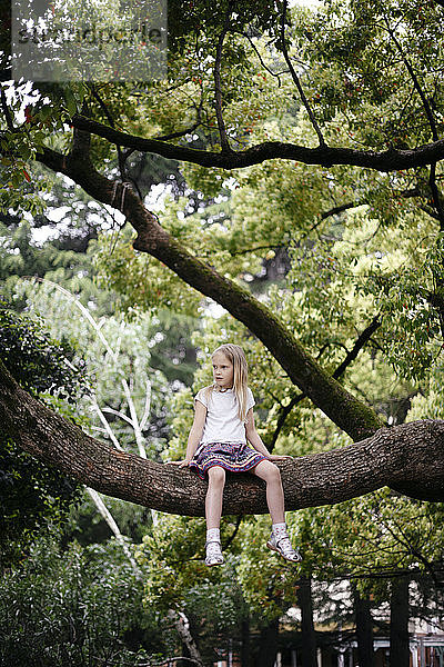 Kleines Mädchen sitzt in einem großen Baum