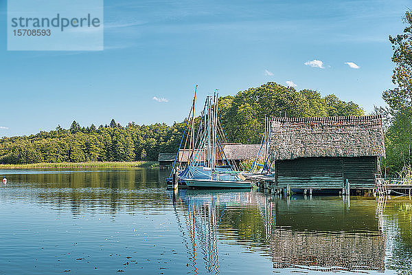 Deutschland  Mecklenburg-Vorpommern  Zarrentin  Naturpark Lauenburgische Seen  Schaalsee