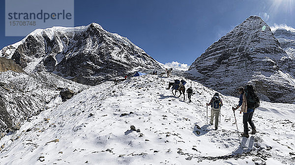 Trekkinggruppe am Chonbarden-Gletscher  Tukuche Peak  Dhaulagiri Circuit Trek  Himalaya  Nepal