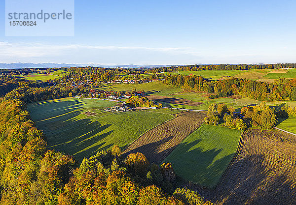 Deutschland  Bayern  Oberbayern  Dorfen  Luftaufnahme der grünen Felder