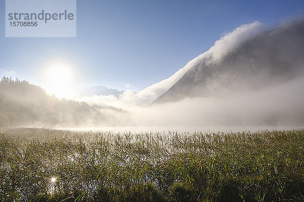 Deutschland  Bayern  Mittenwald  Dichter Nebel  der bei Sonnenaufgang über dem Ferchensee schwebt