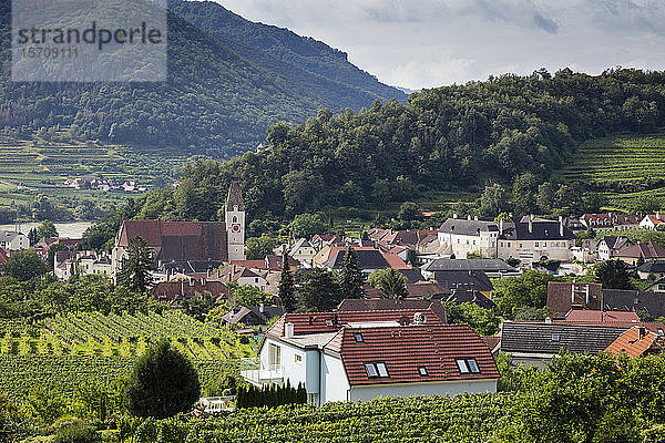 Österreich  Niederösterreich  Wachau  Spitz an der Donau  Blick auf Stadt und Landschaft