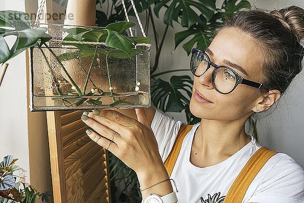 Junge Frau hält Pflanze in einem Kasten mit Wasser