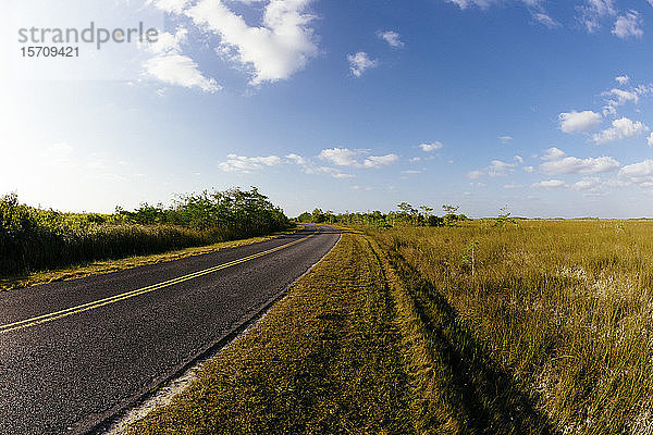 USA  Florida  Leere Straße im Everglades-Nationalpark  Florida