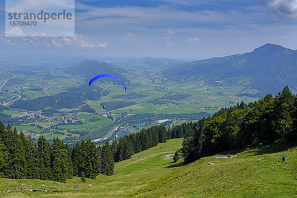 Deutschland  Bayern  Immenstadt  Gleitschirmflieger am Mittagberg