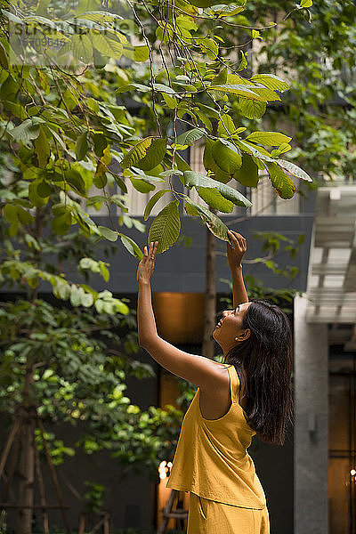 Lächelnde Frau mit gelben  sich berührenden Blättern eines Baumes in der Stadt