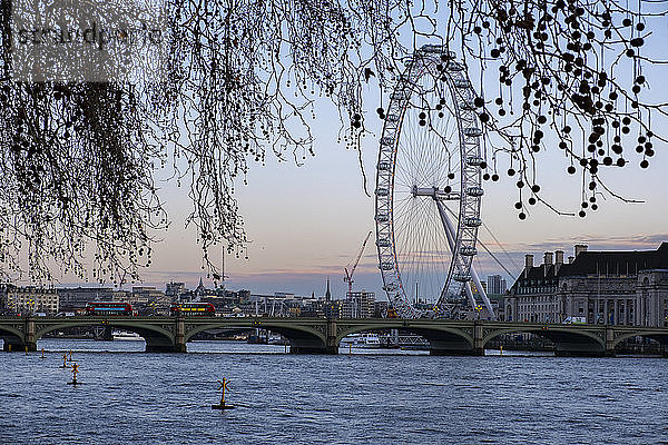 Großbritannien  England  London  Westminster Bridge und London Eye im Morgengrauen