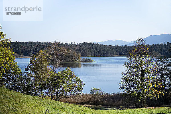 Deutschland  Bayern  Grosser Ostersee umgeben von Wald