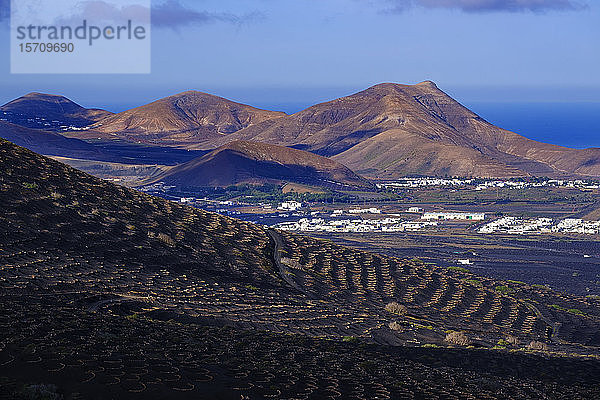 Spanien  Kanarische Inseln  Lanzarote  Region La Geria  Weinberg am Hang