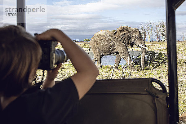 Rückenansicht eines Mädchens  das einen Elefanten fotografiert  Inverdoorn Wildreservat  Breede River DC  Südafrika