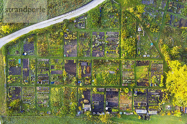 Deutschland  Bayern  Geretsried  Luftaufnahme von Reihen grüner Landschaftsgärten