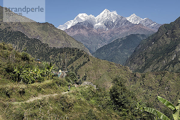 Dobang mit Dhaulagiri I  Dhaulagiri-Rundwanderung  Himalaya  Nepal