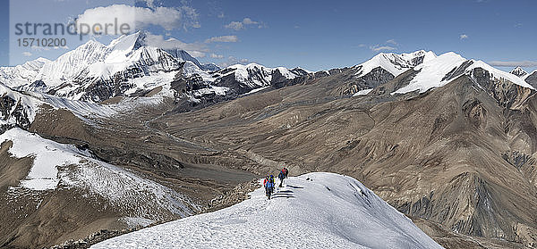 Tukuche Peak vom Dhampus Peak  Dhaulagiri Circuit Trek  Himalaya  Nepal