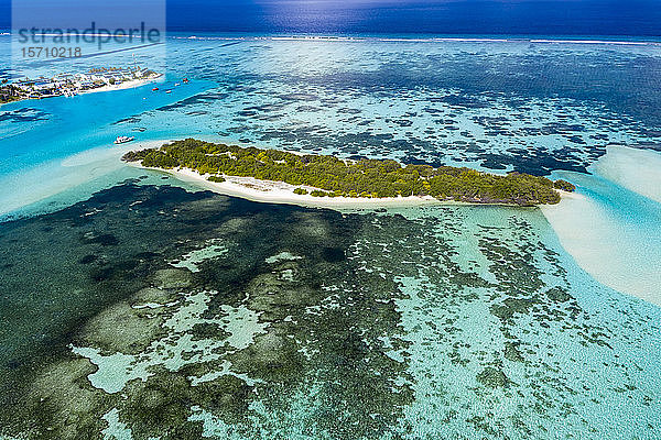 Malediven  Süd Male Atoll  Kaafu Atoll  Luftaufnahme einer kleinen Insel und eines Riffs