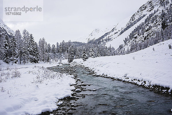 Verschneite Berglandschaft mit Fluss  Engadin  Schweiz