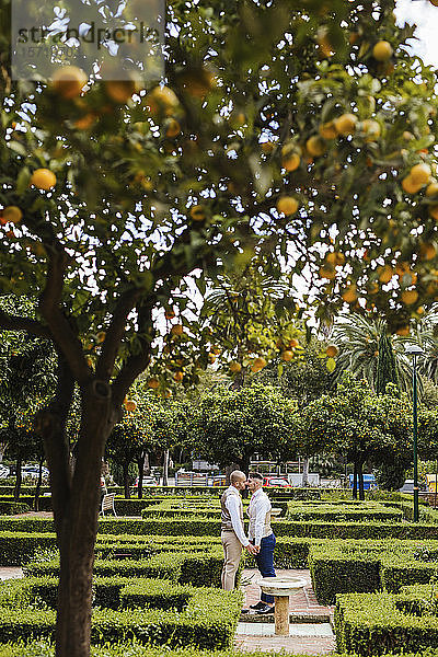 Liebenswertes elegantes schwules Paar in einem Park