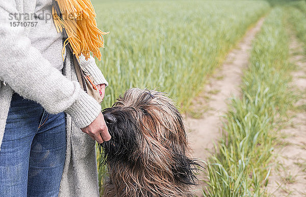 Frau füttert Hund auf einem Feld