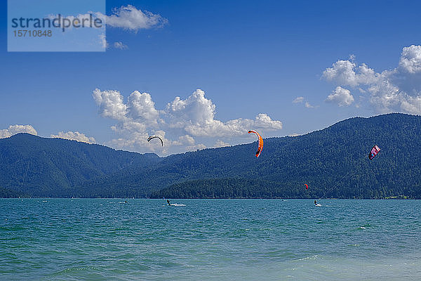Deutschland  Oberbayern  Bayern  Halbinsel Zwergern  Walchensee  Kitesurfer an sonnigen Tagen
