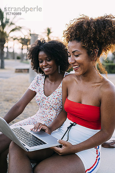 Junge Frauen mit Laptop in einem Park