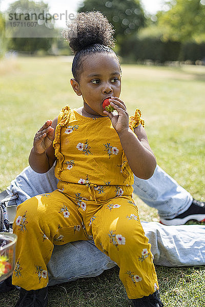 Mädchen mit Vater isst Erdbeere auf einer Wiese in einem Park