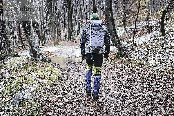 Mann wandert im Herbstwald  Italienische Alpen  Como  Lombardei  Italien