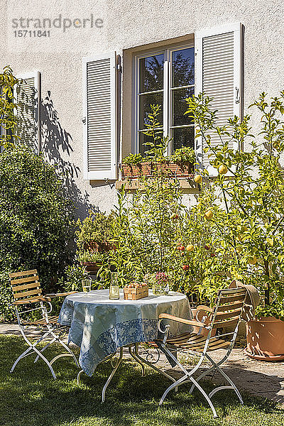 Deutschland  Baden-Württemberg  Stuttgart  gedeckter Tisch im Wohngarten vor Topf-Zitronen und Tomaten
