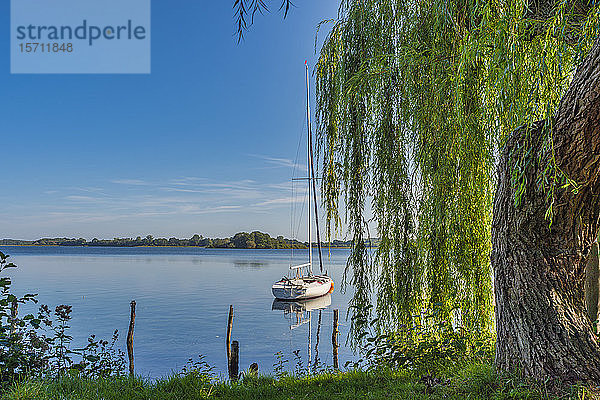 Deutschland  Mecklenburg-Vorpommern  Zarrentin  Naturpark Lauenburgische Seen  Schaalsee  Segelboot