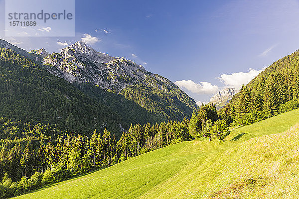 Österreich  Kärnten  Blick auf Gailtaler Polinik und bewaldetes Tal im Sommer
