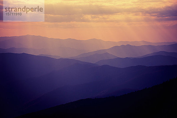 USA  Tennessee  Great Smoky Mountains bei nebliger Morgendämmerung