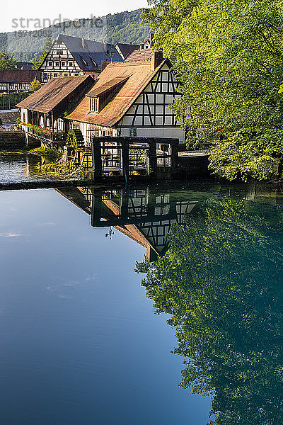 Deutschland  Baden-Württemberg  Blaubeuren  Landhäuser  die sich im glänzenden Fluss spiegeln