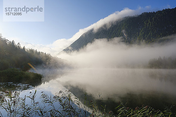Deutschland  Bayern  Mittenwald  Dichter Nebel im Morgengrauen über dem Ferchensee