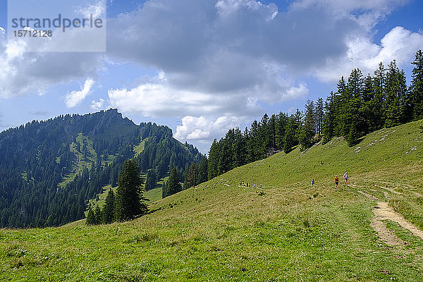 Deutschland  Bayern  Steineberg  Blick vom Barenkopf in den Allgäuer Alpen