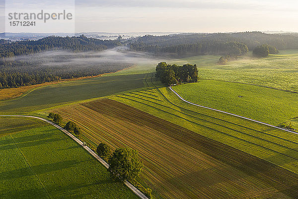 Deutschland  Bayern  Dietramszell  Luftaufnahme von ländlichen Feldern in der Nebeldämmerung