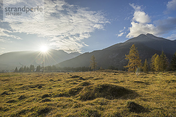 Österreich  Tirol  Ehrwald  Grasland vor der Mieming Range bei Sonnenuntergang